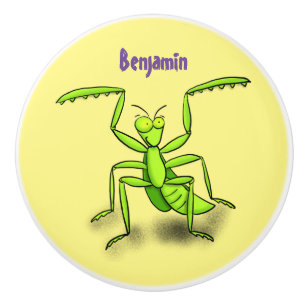 Bouton De Porte En Céramique Illustration drôle de mante verte en prière