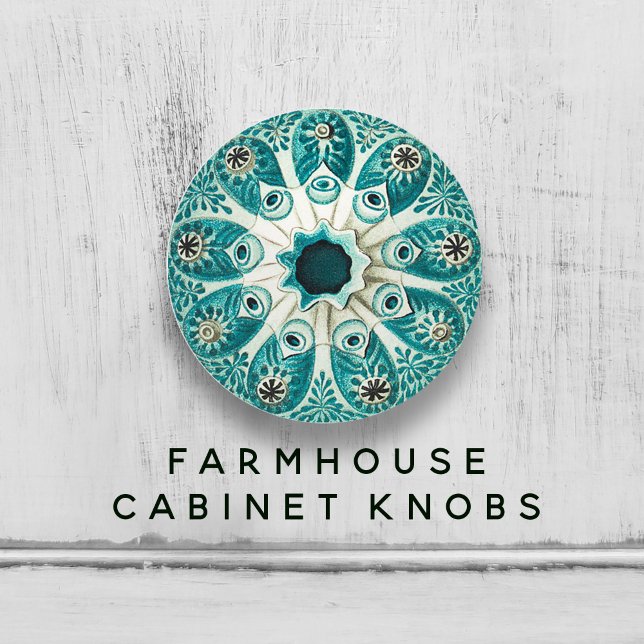 Bouton De Porte En Céramique Illustration du tunicate marin Turquoise Aqua 🌀 ✨ (Vintage Aqua Teal Marine Tunicate Illustration Ceramic Knob)