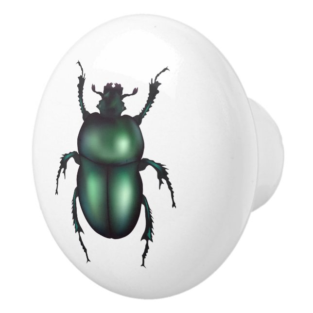 Bouton De Porte En Céramique Insecte drôle  (Droite)