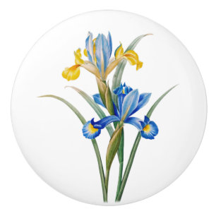 Bouton De Porte En Céramique Iris d'Espagne par Pierre-Joseph Redouté