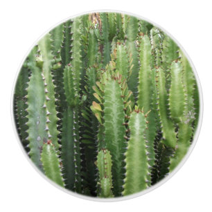 Bouton De Porte En Céramique Jardin de cactus
