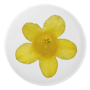 Bouton De Porte En Céramique Jasmin jaune