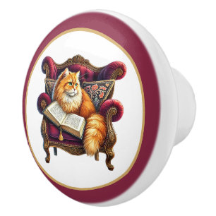 Bouton De Porte En Céramique Joli chat lisant un coin de bibliothèque pour amat