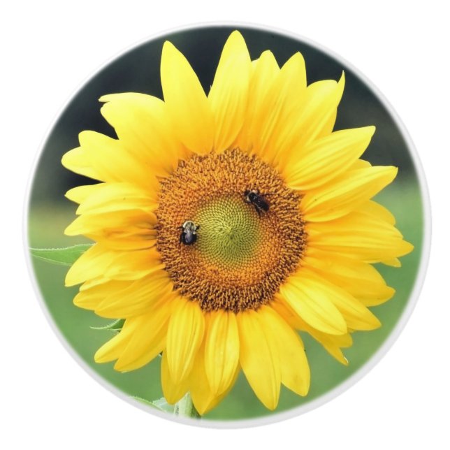 Bouton De Porte En Céramique Joli Sunflower Ceramic Knob (Devant)