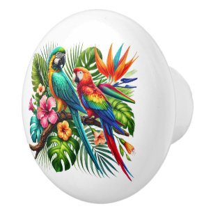 Bouton De Porte En Céramique Jolie plage tropicale maison perroquets