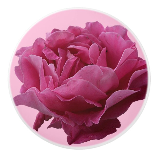 Bouton De Porte En Céramique Jolie rose rose céramique belle florale stylé (Devant)