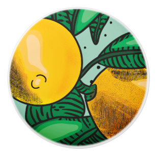 Bouton De Porte En Céramique Jolies citrons
