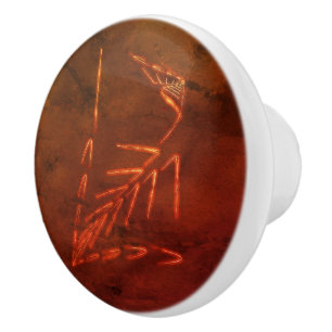 Bouton De Porte En Céramique Jurassic fossile