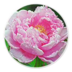 BOUTON DE PORTE EN CÉRAMIQUE KNOB CÉRAMIQUE/ PEONNE ROSE