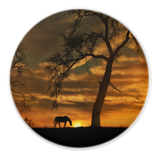 Bouton De Porte En Céramique Knows et Pulls de Cheval du Sud-Ouest (Devant)