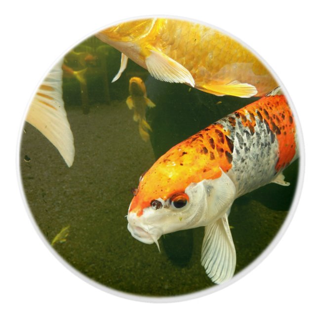 Bouton De Porte En Céramique Koi Carp Ceramic Knob (Devant)