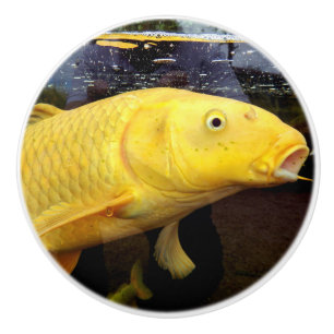 Bouton De Porte En Céramique Koi Carp Ceramic Knob
