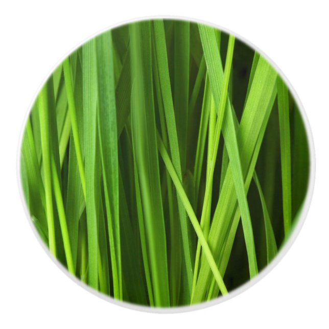 Bouton De Porte En Céramique Lames d'herbe (Devant)