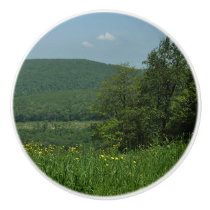 Bouton De Porte En Céramique Laurel Highlands Pennsylvania Summer Photography