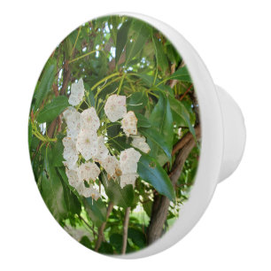 Bouton De Porte En Céramique Laurier de montagne blanc feuilles vertes