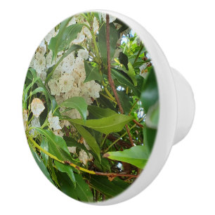Bouton De Porte En Céramique Laurier des montagnes blanc