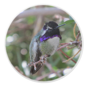 Bouton De Porte En Céramique Le colibri de la côte
