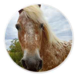 Bouton De Porte En Céramique "Le sucre : la grâce de l'Appaloosa"