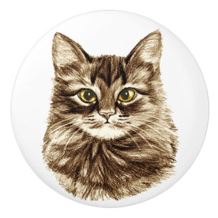 Bouton De Porte En Céramique Le tiroir d'or de placard de Cabinet de chat de