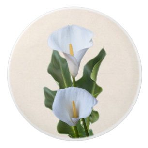 Bouton De Porte En Céramique Le zantedeschia fleurit le jardin et le feuille