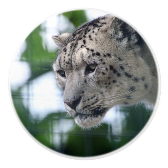 Bouton De Porte En Céramique Leopard 003 (Devant)