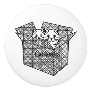 Bouton De Porte En Céramique Les chatons dans une boîte Thunder_Cove