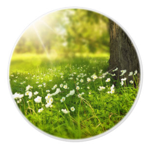 Bouton De Porte En Céramique Les Joys du printemps