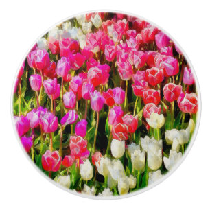 Bouton De Porte En Céramique Les tulipes roses rouges et blanches du Mont Verno