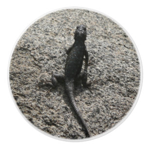 Bouton De Porte En Céramique Lézard noir