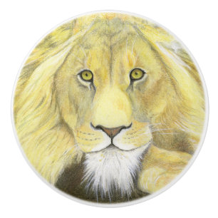 Bouton De Porte En Céramique Lion