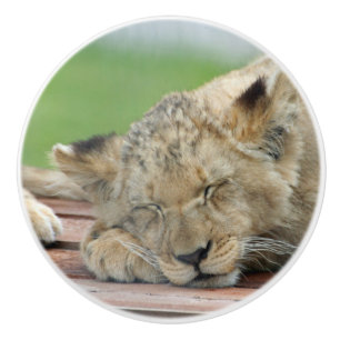 Bouton De Porte En Céramique Lion 014