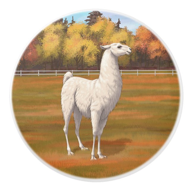 Bouton De Porte En Céramique Llama blanche dans les pâturages agricoles d'autom (Devant)