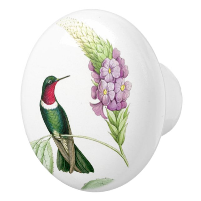 Bouton De Porte En Céramique L'oiseau de colibri fleurit botanique floral (Droite)