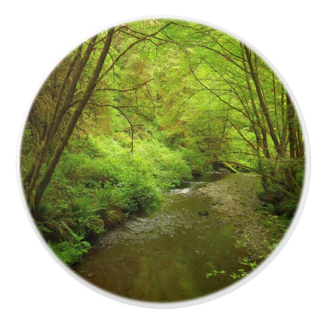 Bouton De Porte En Céramique Lost Man Creek I au Redwood National Park (Devant)