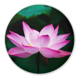 Bouton De Porte En Céramique Lotus rose