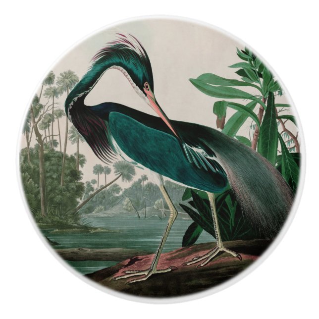 Bouton De Porte En Céramique Louisiana Heron Birds of America Audubon Imprimer (Devant)