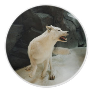 Bouton De Porte En Céramique Loup blanc