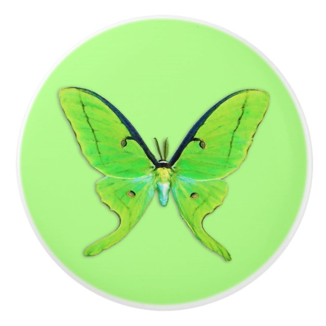 Bouton De Porte En Céramique Luna moth sur un arrière - plan vert pâle (Devant)