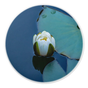 Bouton De Porte En Céramique Lys d'eau blanche dans l'étang, photographie de la