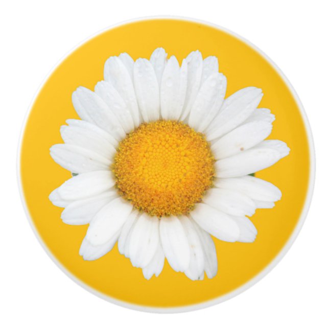 Bouton De Porte En Céramique Marguerite jaune et blanche (Devant)