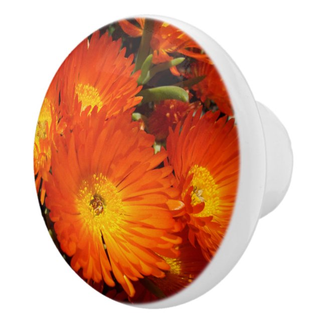 Bouton De Porte En Céramique Marguerites géantes, (Droite)