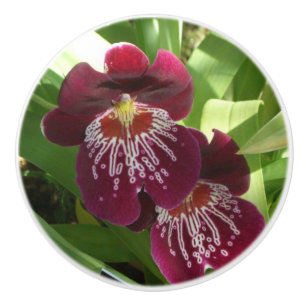 Bouton De Porte En Céramique Maroon Orchids II