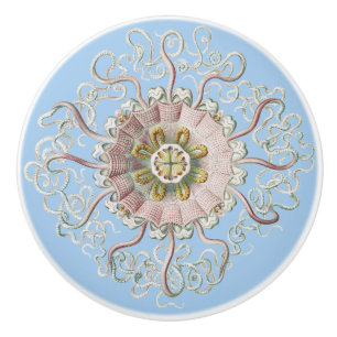 Bouton De Porte En Céramique Méduse rose nautique d'Ernst Haeckel