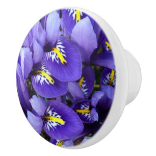 Bouton De Porte En Céramique Miniature Bleu Irises Printemps Floral