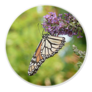 Bouton De Porte En Céramique Monarque papillon sur Buddleia pourpre