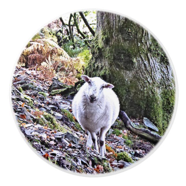 BOUTON DE PORTE EN CÉRAMIQUE MOQUETTE (Devant)