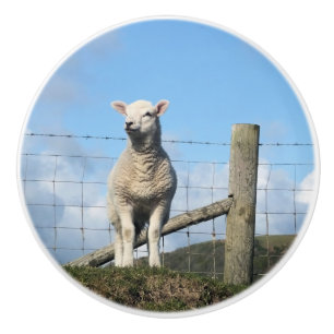 BOUTON DE PORTE EN CÉRAMIQUE MOQUETTE