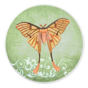 Bouton De Porte En Céramique Moth soie africaine