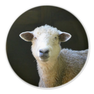Bouton De Porte En Céramique Mouton de campagne