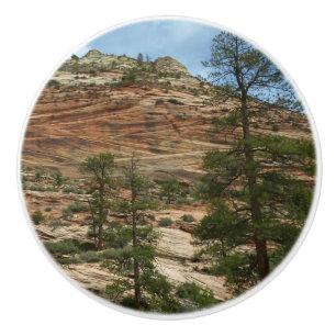 Bouton De Porte En Céramique Murs de roche usés dans le parc national de Zion